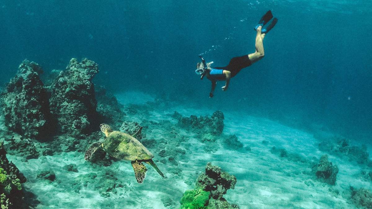 Assurance de voyage pour le Sud
