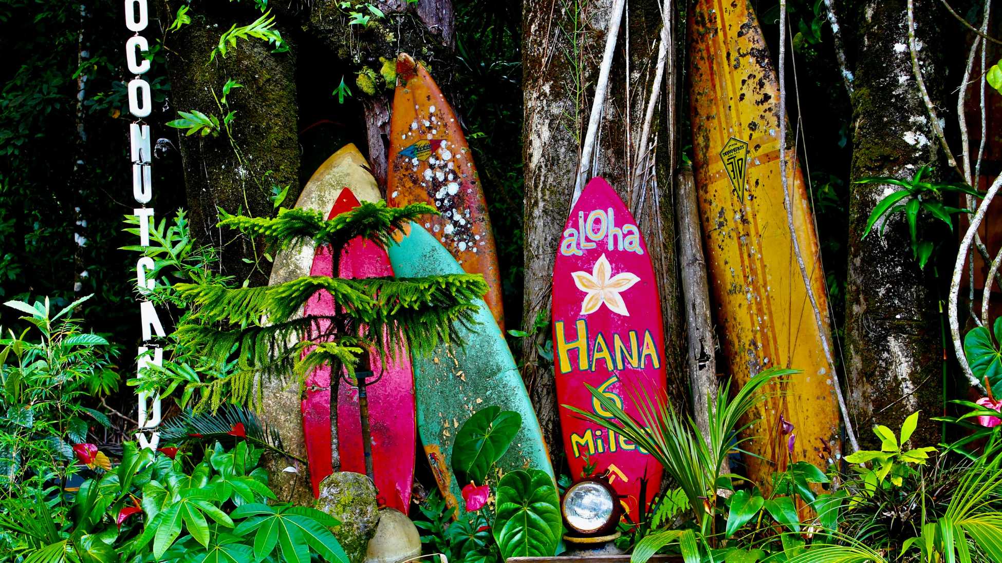 Assurance voyage pour Maui Hawai