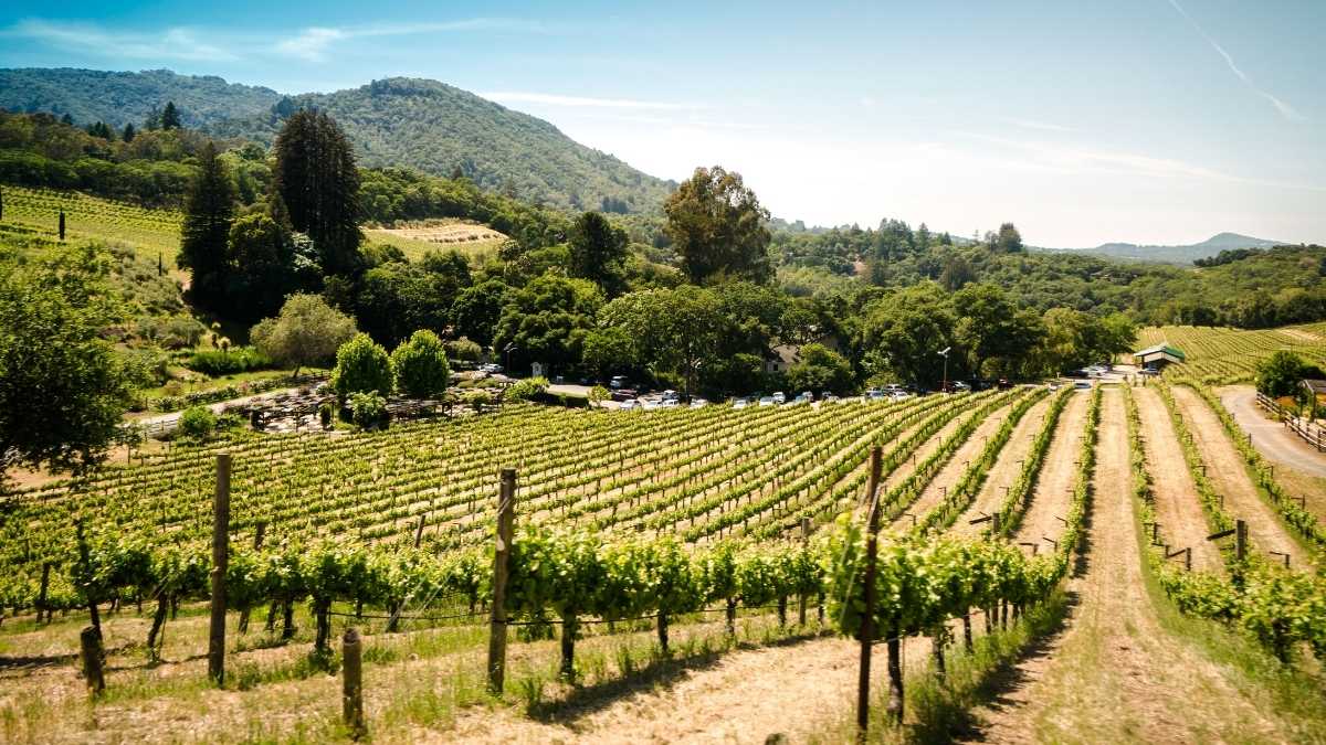 Assurance médicale voyage pour la Californie