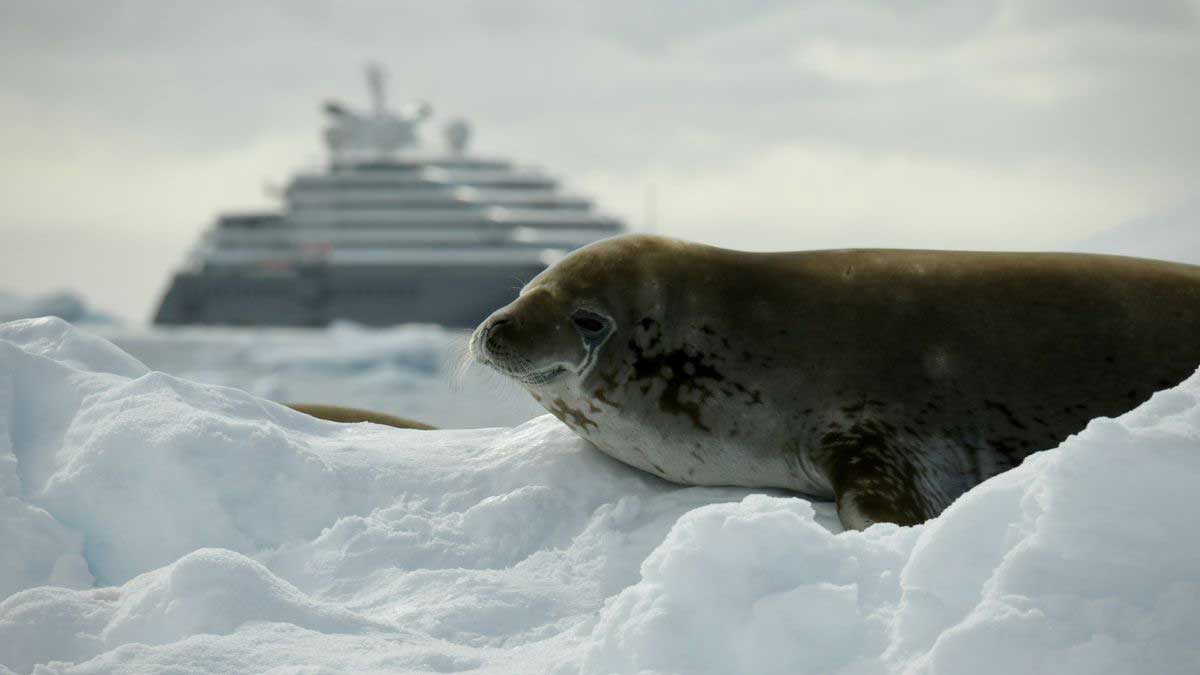 Antartic cruise travel insurance
