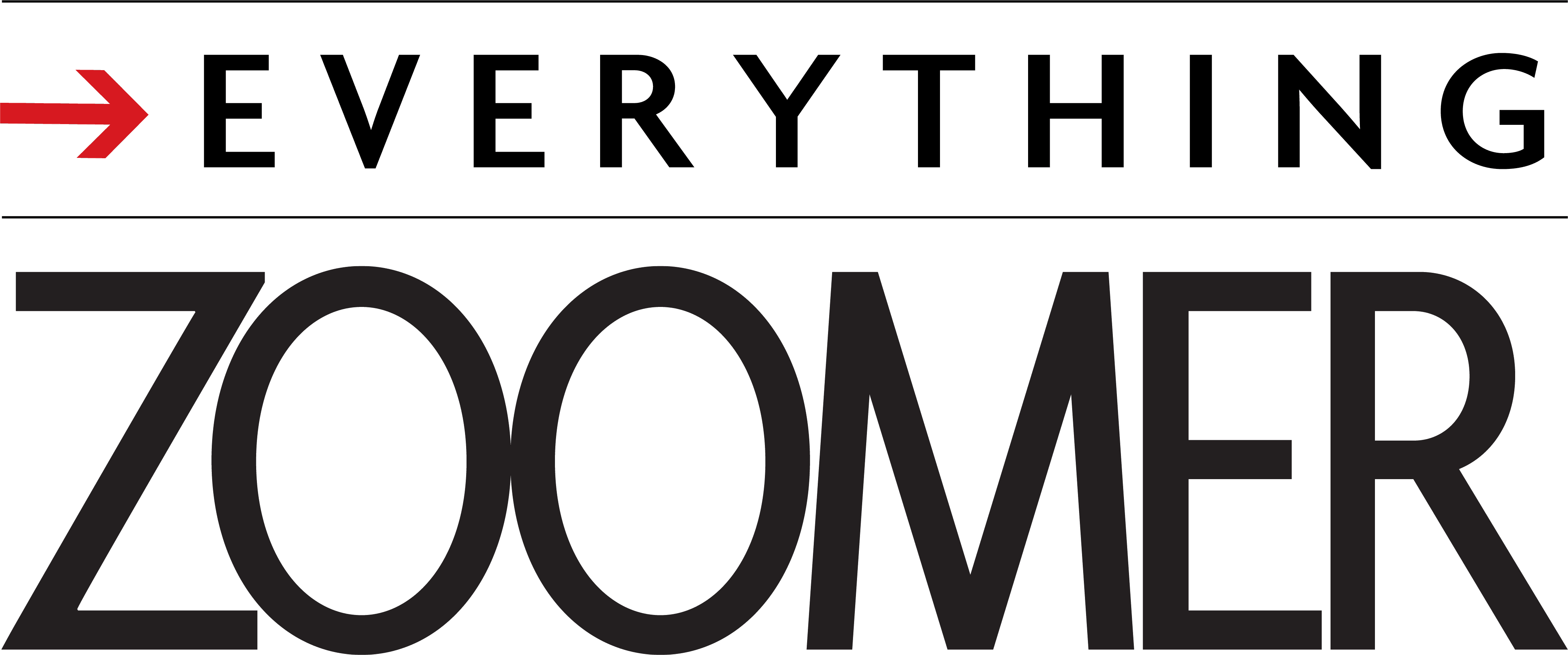 logo everything zoomer