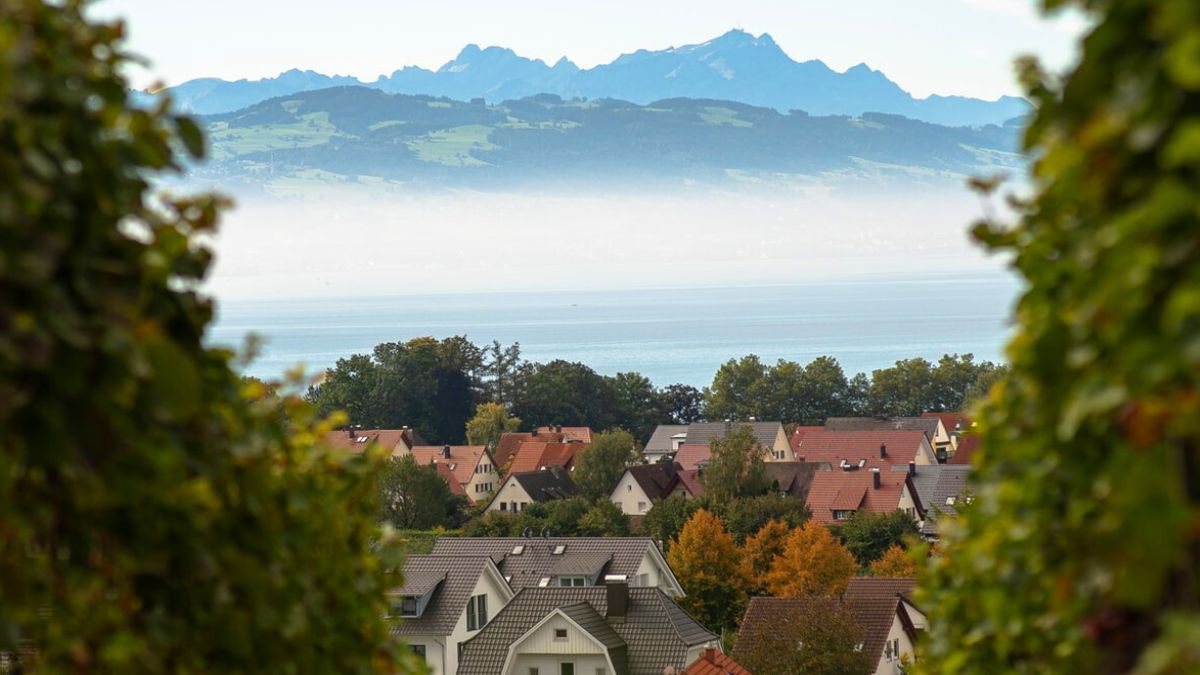 assurance voyage pour expatriés